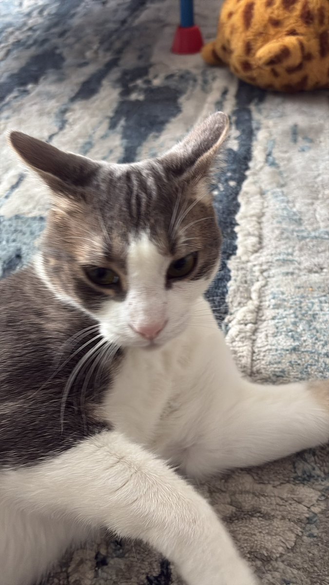 Sebastian Delagarza tweet media