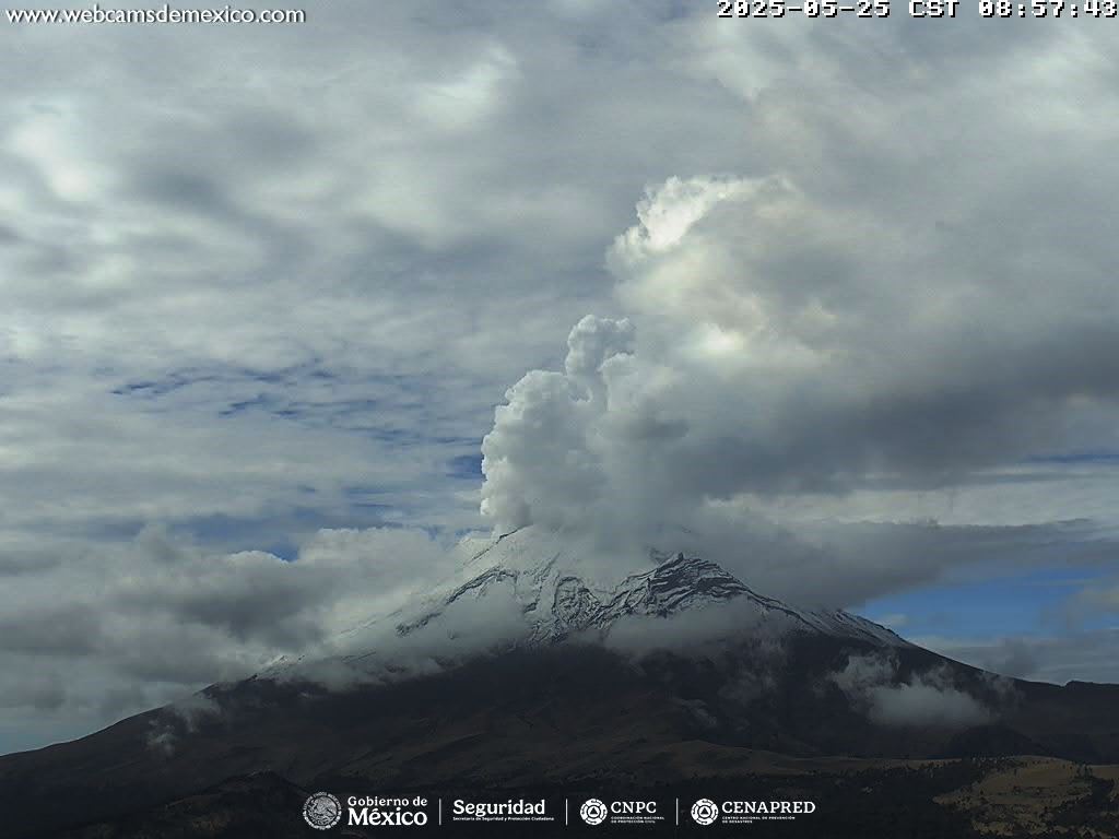 En las últimas 24 horas, en el #Popocatépetl se detectaron 71 exhalaciones de baja intensidad acompañadas de vapor de agua y ligeras cantidades de ceniza.

También se registraron 103 minutos de tremor de baja amplitud; el semáforo de alerta volcánica se mantiene en amarillo