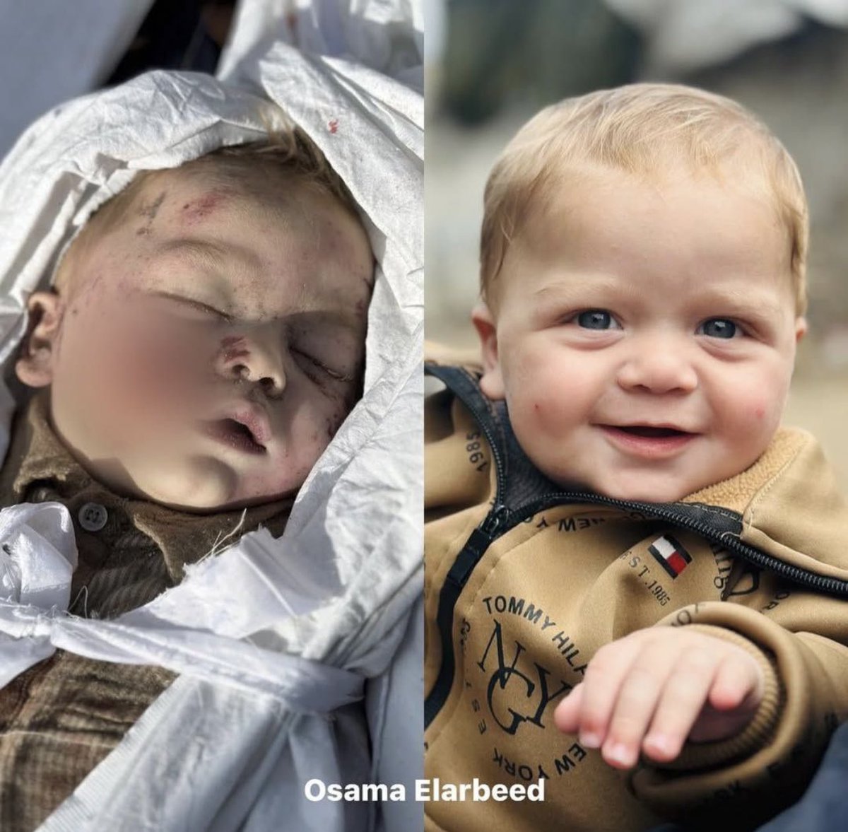 Katil İsrail bu yavruyu da öldürdü.