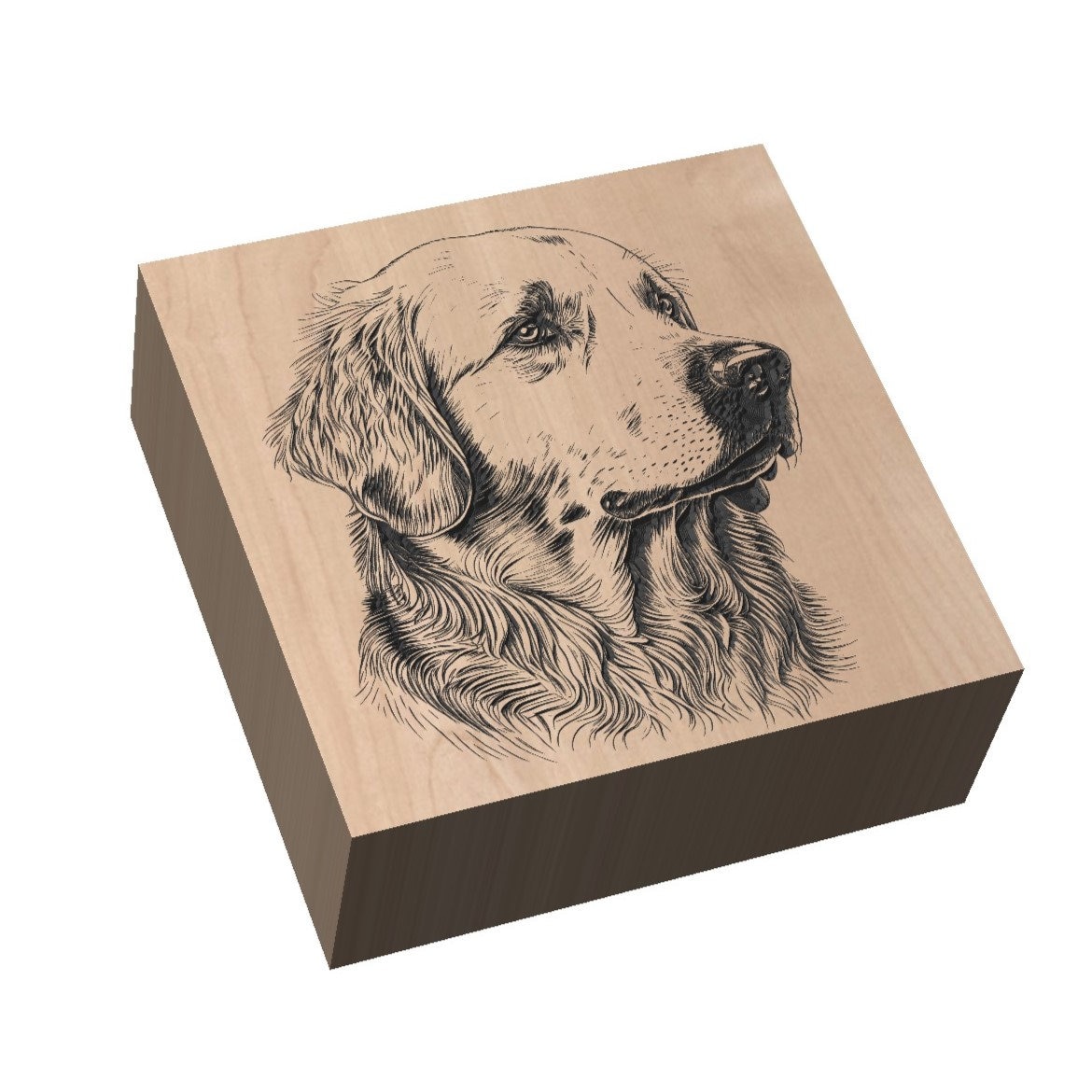 MeadowviewCNC's tweet photo. Bring your CNC projects to life with our Golden Retriever design files! Perfect for any dog lover. Ready-made for Vectric VCarve Pro. Unleash creativity today! 🐶🔧 #CNC #Woodworking https://t.co/315kTl4TId https://t.co/UCO2K0PLrp