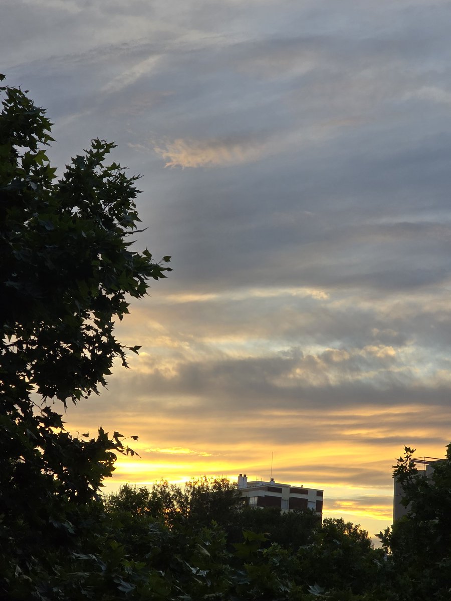 M.Isabel (@gramareus) on Twitter photo Imatges del capvespre d'avui!!💛🧡
17°C, humitat del 87%
#reus #capvespre #sunset
<a href="/ecazatormentas/">Cazatormentas</a> <a href="/1967fct/">EL CLIMA EN TIEMPO REAL</a> <a href="/StormHour/">#StormHour</a> <a href="/JRovireta/">Jordi Rovira</a> <a href="/SeguimlaMeteo/">Seguim la Méteo</a> <a href="/SomosMeteo/">SomosMéteo</a> Imatges del capvespre d'avui!!💛🧡
17°C, humitat del 87%
#reus #capvespre #sunset
<a href="/ecazatormentas/">Cazatormentas</a> <a href="/1967fct/">EL CLIMA EN TIEMPO REAL</a> <a href="/StormHour/">#StormHour</a> <a href="/JRovireta/">Jordi Rovira</a> <a href="/SeguimlaMeteo/">Seguim la Méteo</a> <a href="/SomosMeteo/">SomosMéteo</a>