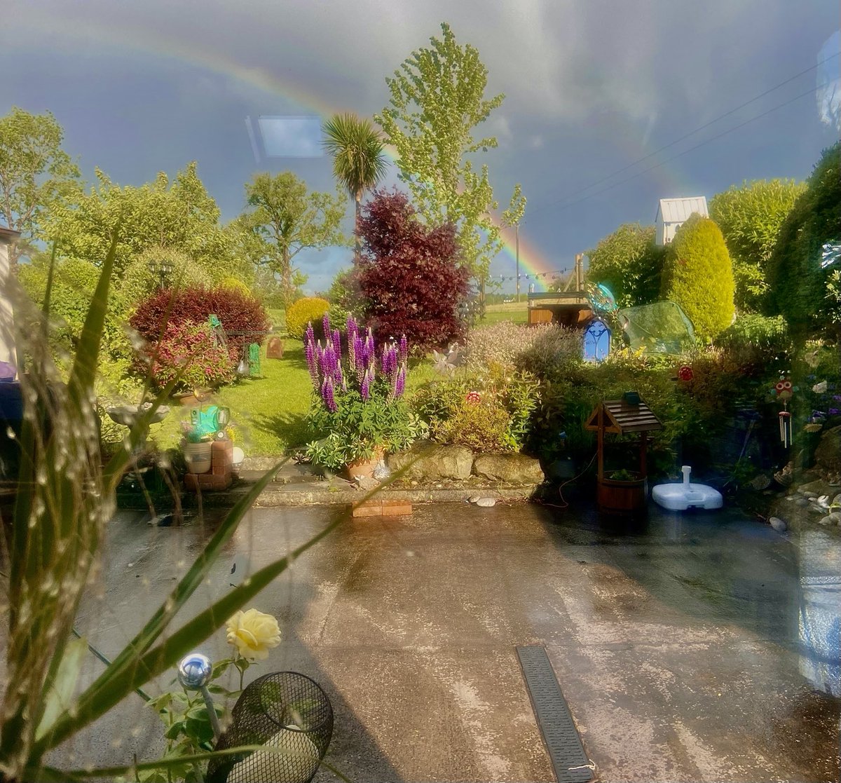 mtully21's tweet image. #ViewFromTheWindow 
A day of sunshine and showers and a breeze that would “clean oats”.
This rainbow appeared from the East like a barometer of Hope.
My hope for tomorrow is Peace… and that the hungry children in Gaza will sleep better after some sustenance.
#LetThereBePeace🙏