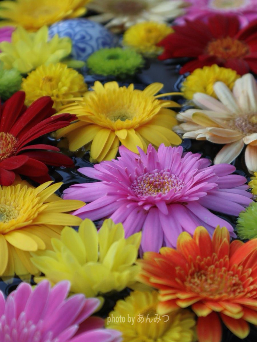 おはようございます♡