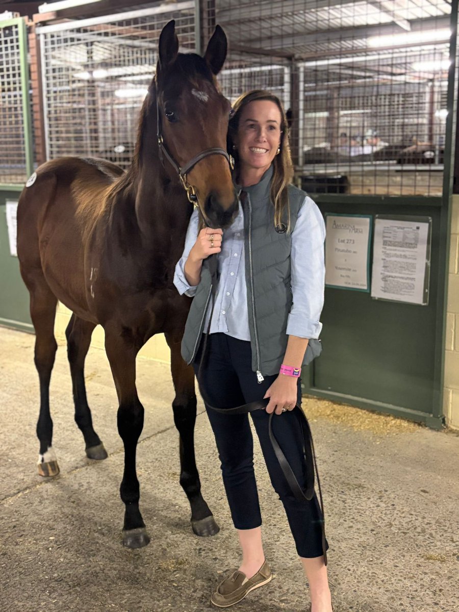 GlenX Lodge (@glenxlodge) on Twitter photo One for the future 🌟
Home Affairs x Cash First Colt.
Thrilled to have secured this outstanding colt from breeders @Edinglassie at the <a href="/mmsnippets/">Magic Millions</a> Weanling Sale.
A half-brother to @hkjc's Alpha One, hailing from the family of Deep Field ☄️ One for the future 🌟
Home Affairs x Cash First Colt.
Thrilled to have secured this outstanding colt from breeders @Edinglassie at the <a href="/mmsnippets/">Magic Millions</a> Weanling Sale.
A half-brother to @hkjc's Alpha One, hailing from the family of Deep Field ☄️