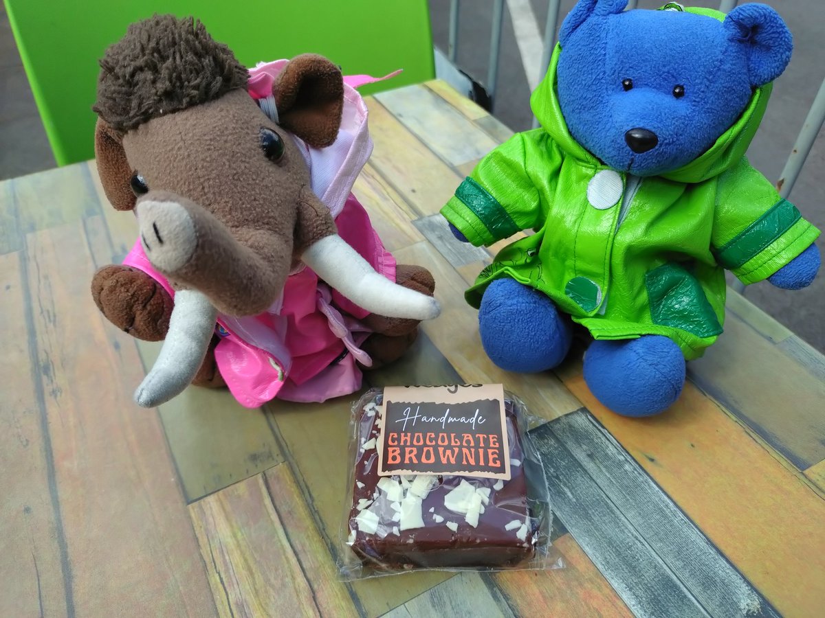 We hit a #geocaching milestone today - our 1400th find!! We found 16 on the Stratford-upon-Avon Canal today (skipped 3 due to nettle overgrowth) and managed to visit PUB along the way, and found a little bakery with takeaway brownies! #smallbearadventures #smallbearsneedbeer