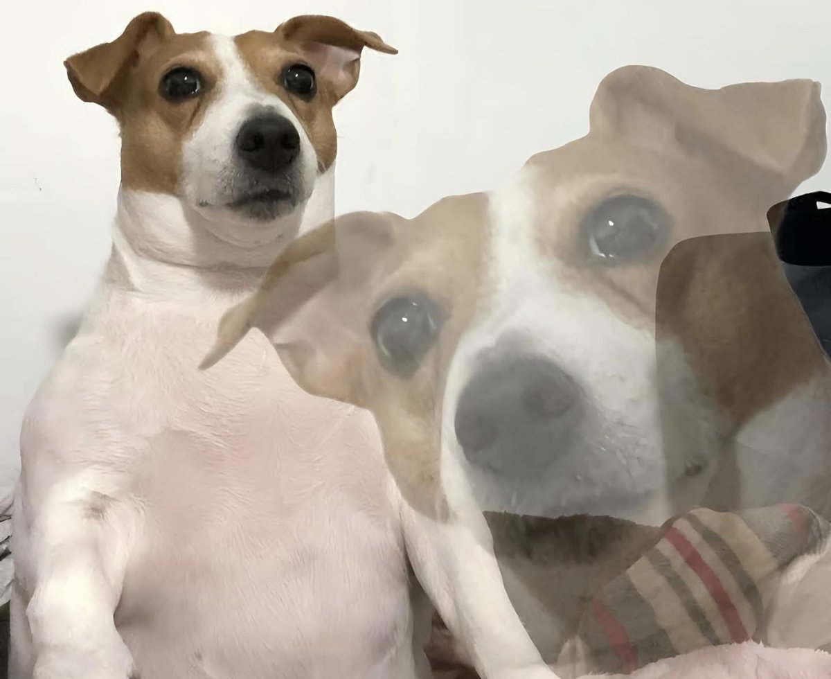 Cuando por fin consigo novia pero me sube a su historia diciendo: “Aprendí que el físico no lo es todo”