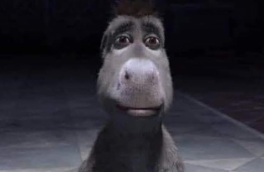 this how dogs watch you eat