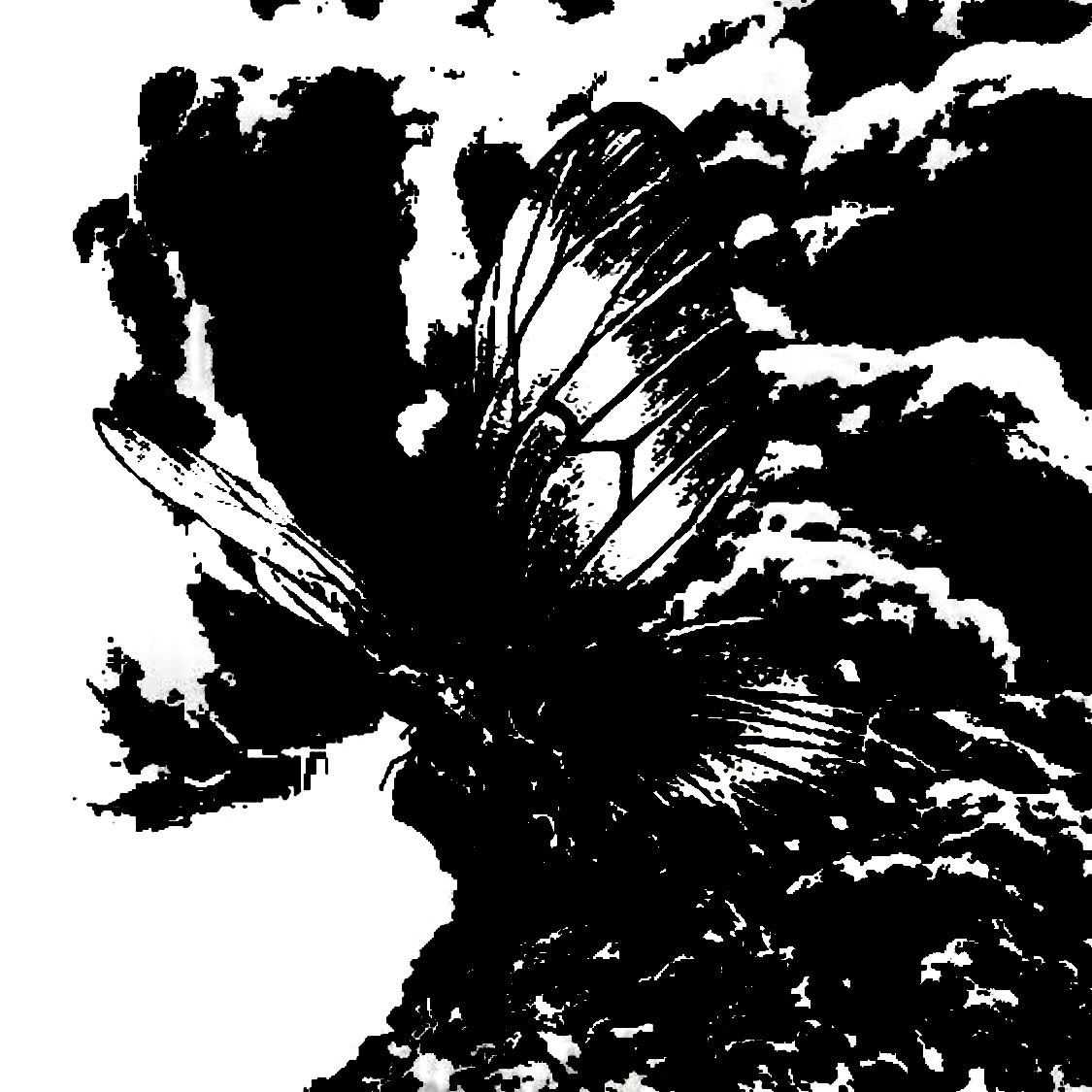 ๐ผ. ๐ฌ๐๐๐๐ (@truthundreamnt) on Twitter photo ใโ ๐ ๐ฝ๐พ๐บ๐๐ ๐๐๐๐ ?โ ใAizen echoed softly, stepping forward with the grace of โฆ ๐๐๐๐๐๐๐๐๐๐๐๐๐ itself, his spiritual pressure tightening the air like an invisible noose.
โฆ ใโ What do I want ? To watch you drown in the very ideals you cling to.โ ใ ใโ ๐ ๐ฝ๐พ๐บ๐๐ ๐๐๐๐ ?โ ใAizen echoed softly, stepping forward with the grace of โฆ ๐๐๐๐๐๐๐๐๐๐๐๐๐ itself, his spiritual pressure tightening the air like an invisible noose.
โฆ ใโ What do I want ? To watch you drown in the very ideals you cling to.โ ใ