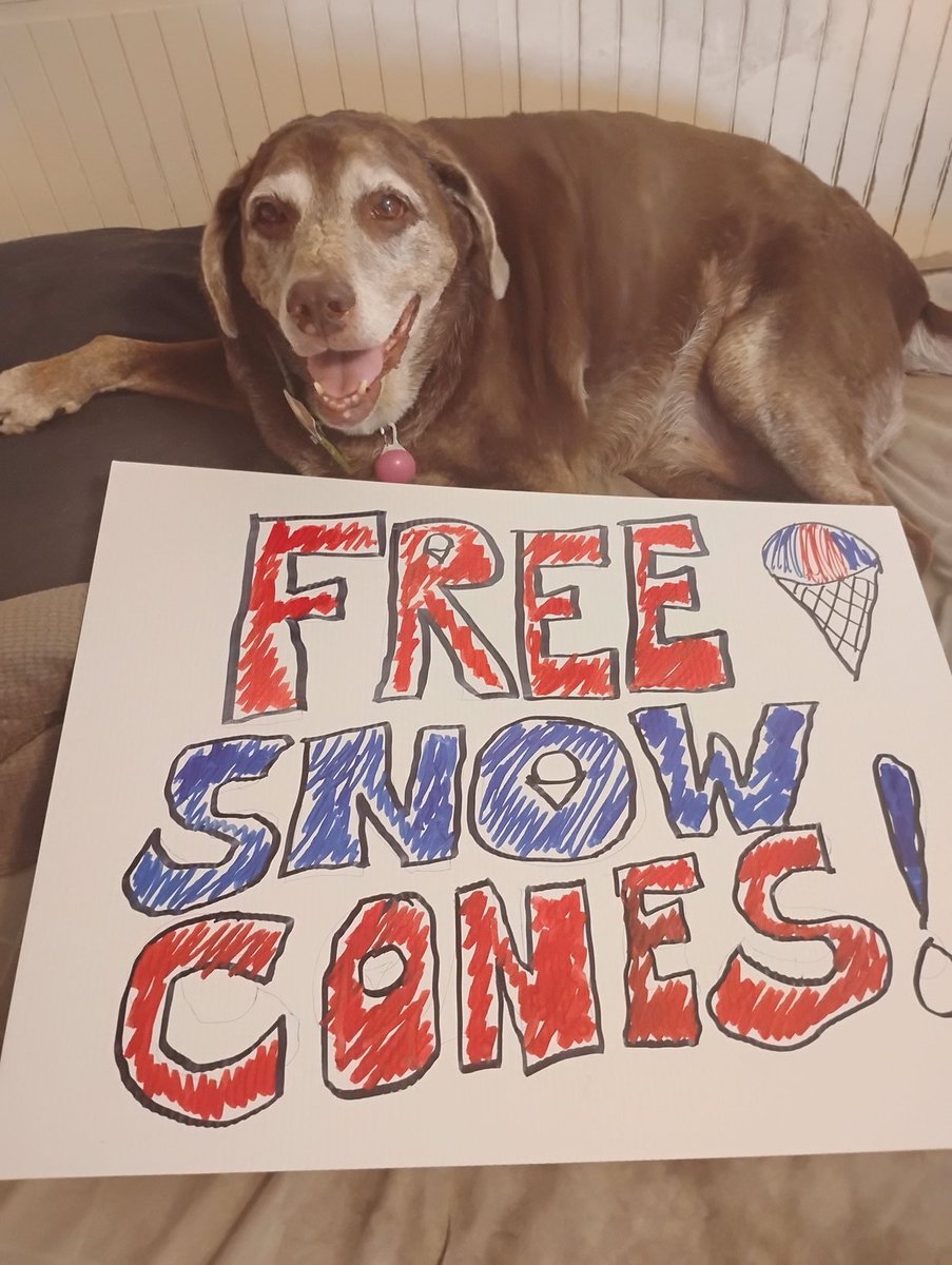 The River Oaks Civic Association is Giving out FREE SNOW CONES AT GORE BETZ PARK!!! MONDAY, noon till the ICE MELTS!!