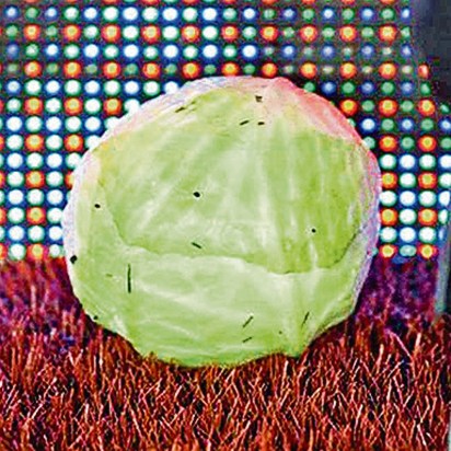 WeDoingAVilla's tweet image. Two items that have had a big impact on Aston Villa
