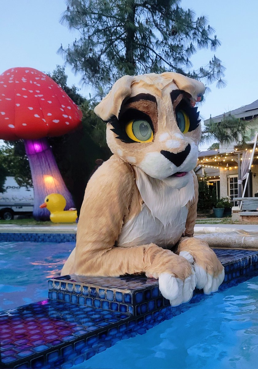 Can you feel the love tonight?