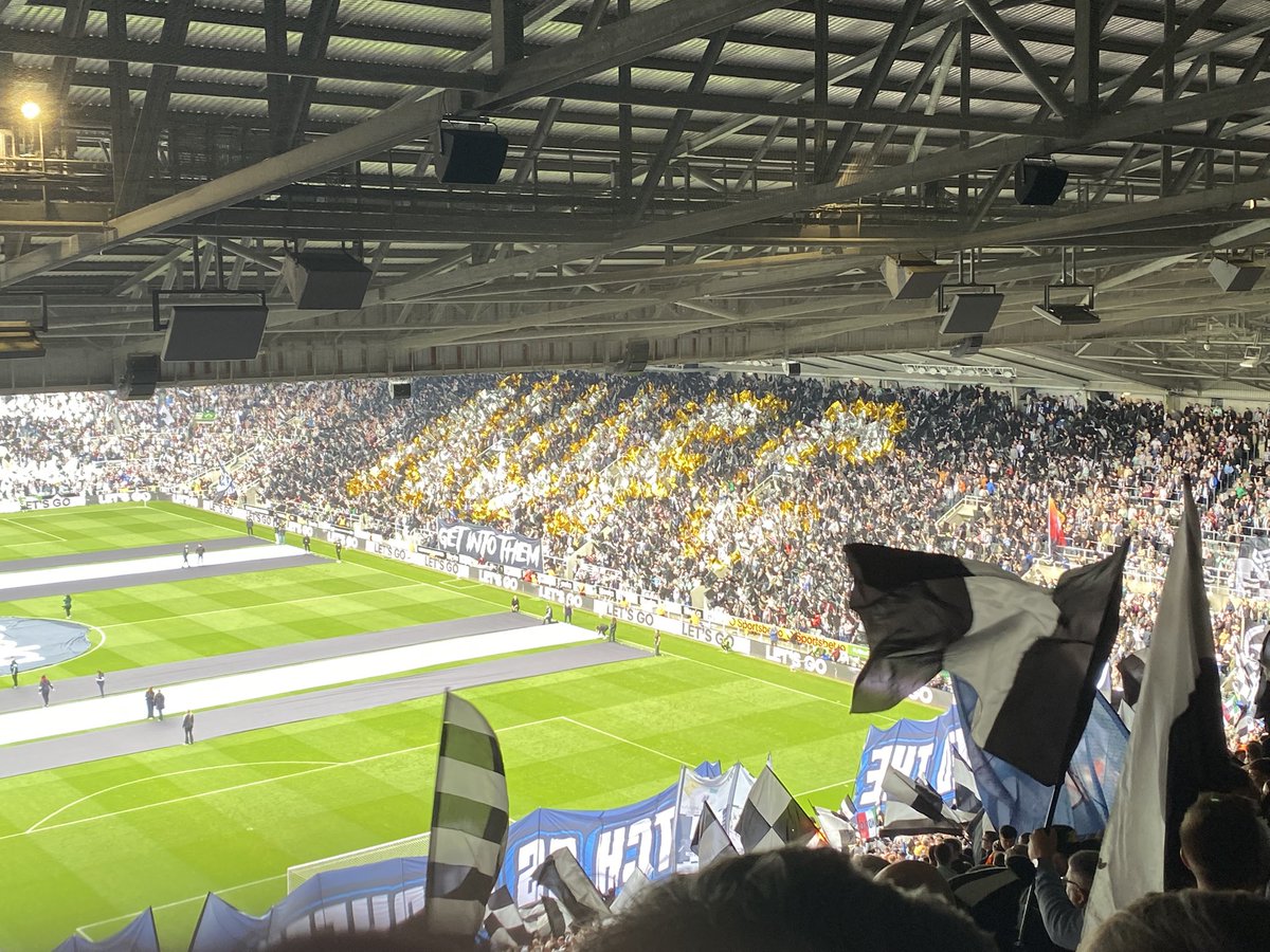 Petur Kristjansson tweet media