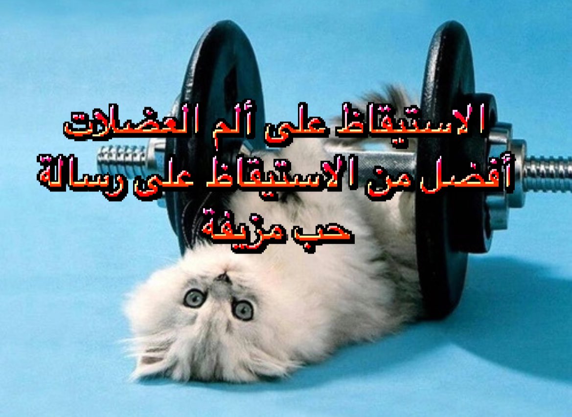 عغعغع (@ioftenignoreit) on Twitter photo 
