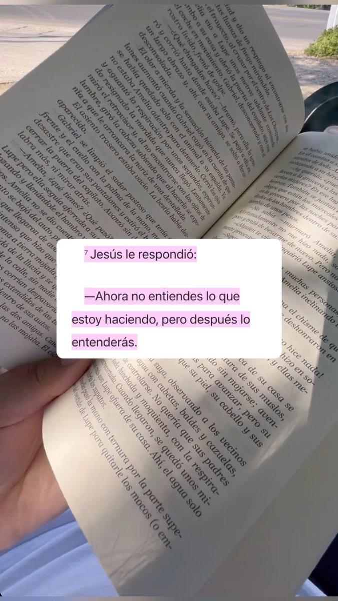 ✨