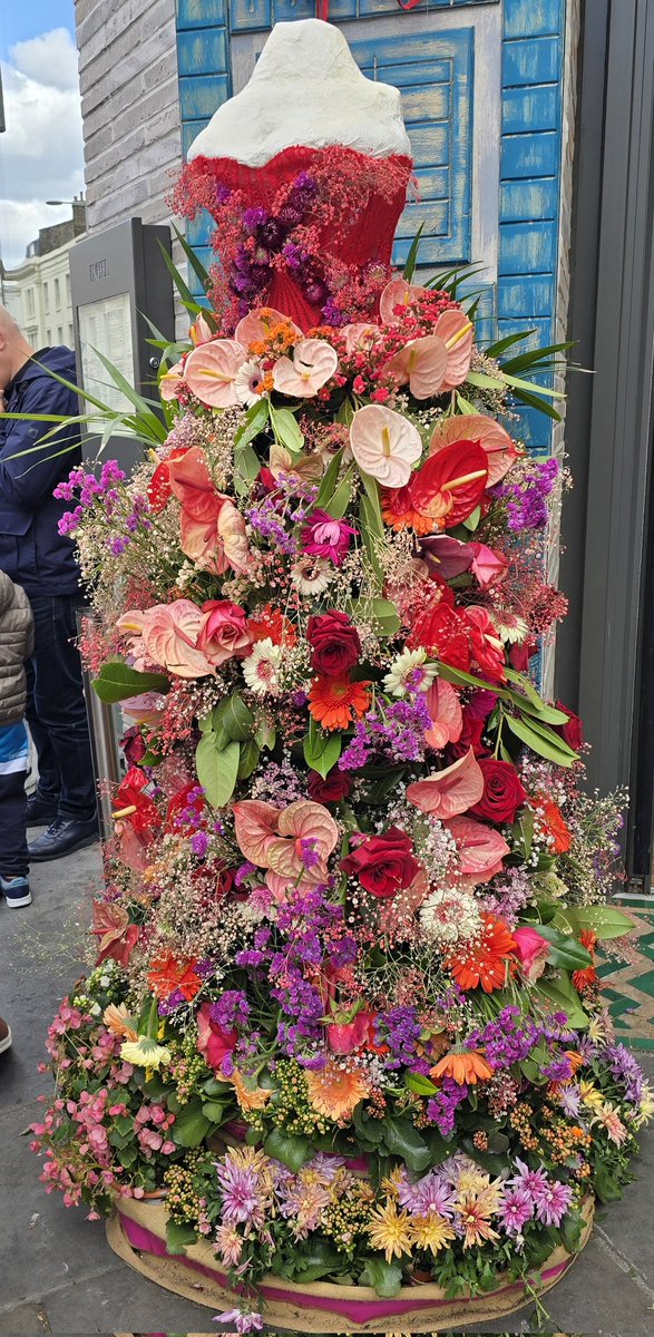 Chelsea in BLOOM 🌷🌼🌸🌻🌺⚘️