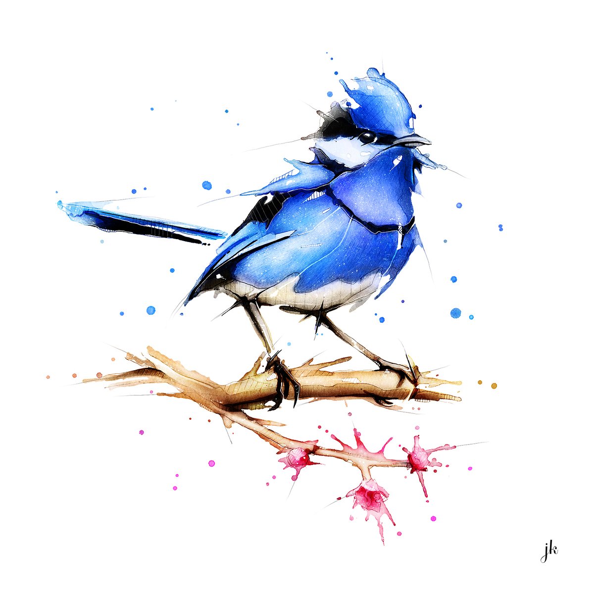 Blue Fairy Wren // #JeremyKyleArt #MixedMedia #Illustration #Birds #Art