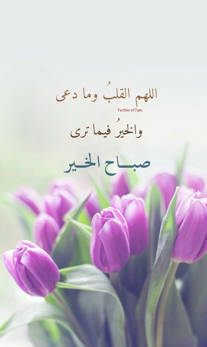 nf7ats's tweet photo. "اللهم القلبُ وما دعى
 والخيرُ فيما ترى.🤎" https://t.co/oZ3rAlFnHX