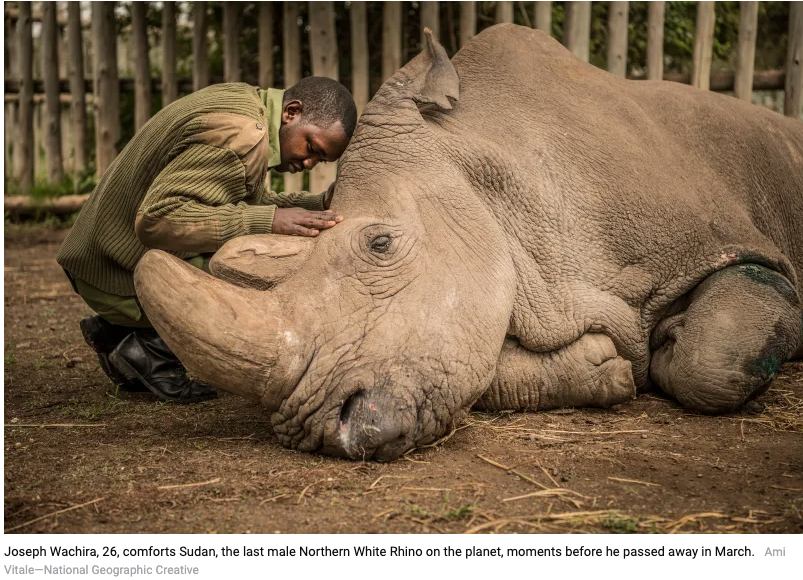 Amor y respeto por los animales 💜💜💜

#AfricaDay