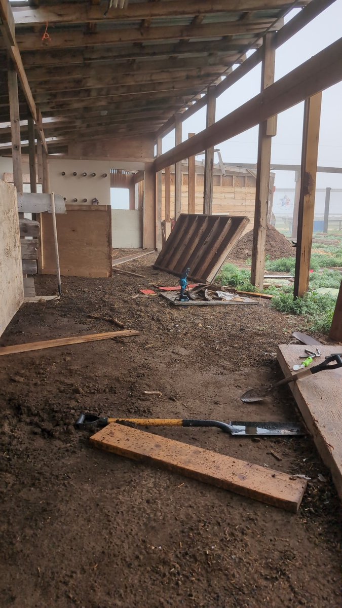 Starting to rebuild