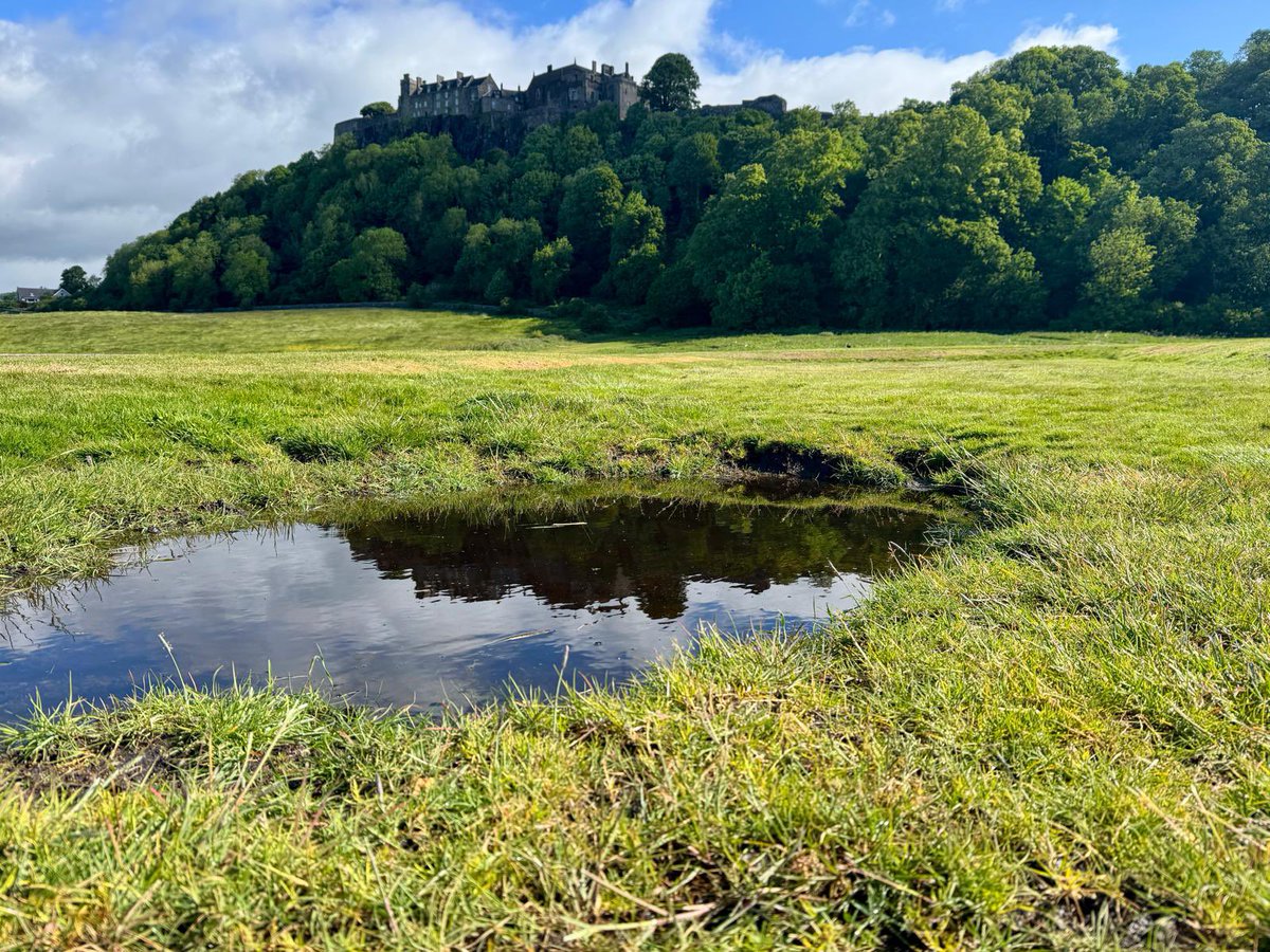 Guilford College Sport Studies tweet media