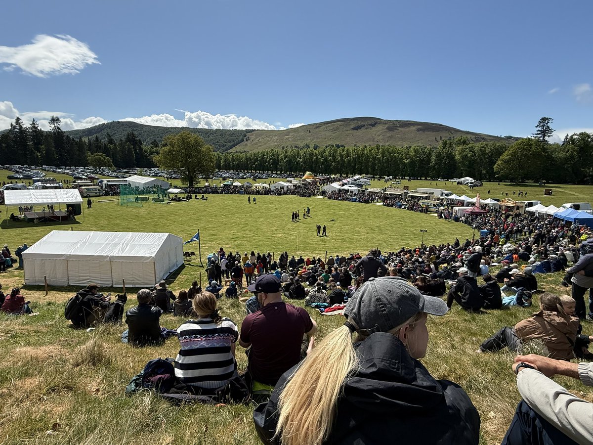 Guilford College Sport Studies tweet media