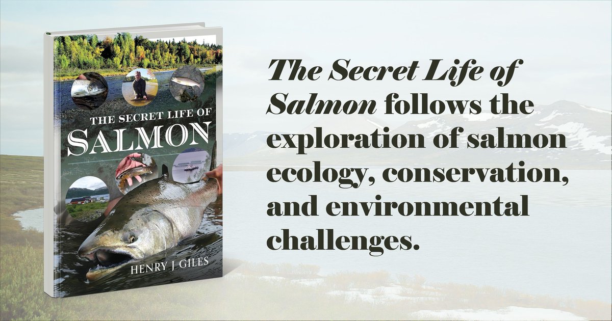 Get to know the life of salmon, from eggs to swimming up streams. Author Henry Giles includes unique and captivating photos and research of the epic life journey of salmon. 🐟🌊

💻: tinyurl.com/ryvp7duk
⠀
#SalmonLife #FishJourney #SalmonResearch #FreshwaterFish