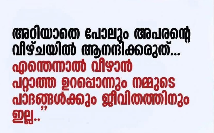 Biji (@biji2273228678) on Twitter photo 