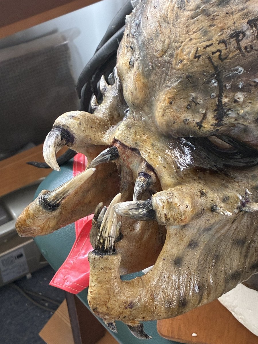 puchipredator's tweet image. 今回は
お声をかけてもらってるので
めちゃくちゃ久しぶりに
プレデターを作ろうと思いガサガサ…。
時間をかけて、
ラピュタとプレデターを作ろうと思います。
ナリンのプレデターは
デザイン、顔がいいな