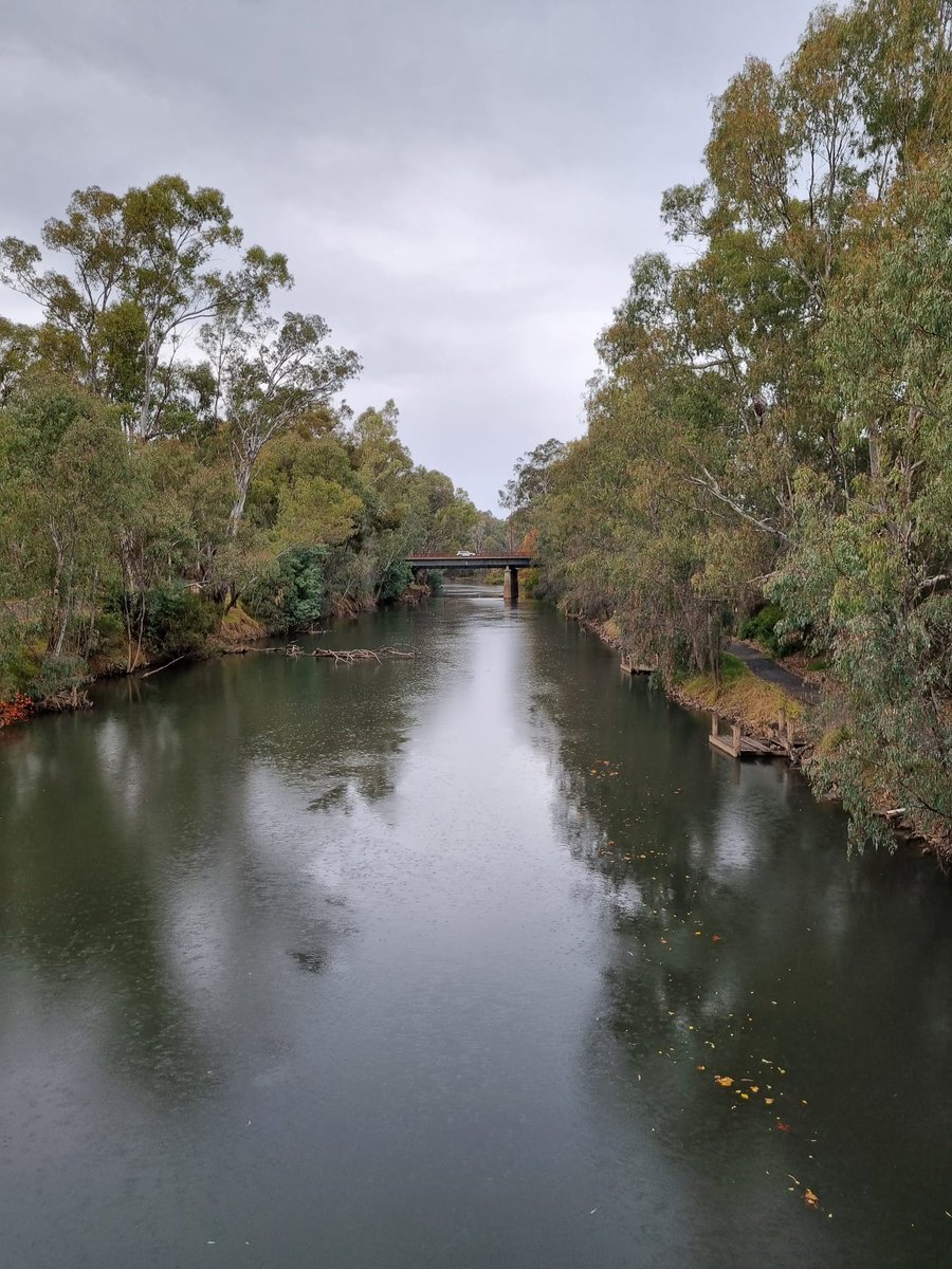 LopeyPen's tweet photo. On this cold, wet morning on Yorta Yorta Country it was excellent to see such a significant turn out. At the conclusion Uncle Archie Roach's song "Took the Children Away" was played &amp; just like that the rain began to come down, like large tears. Stopping when the song ended. https://t.co/aEgvWmUjc3