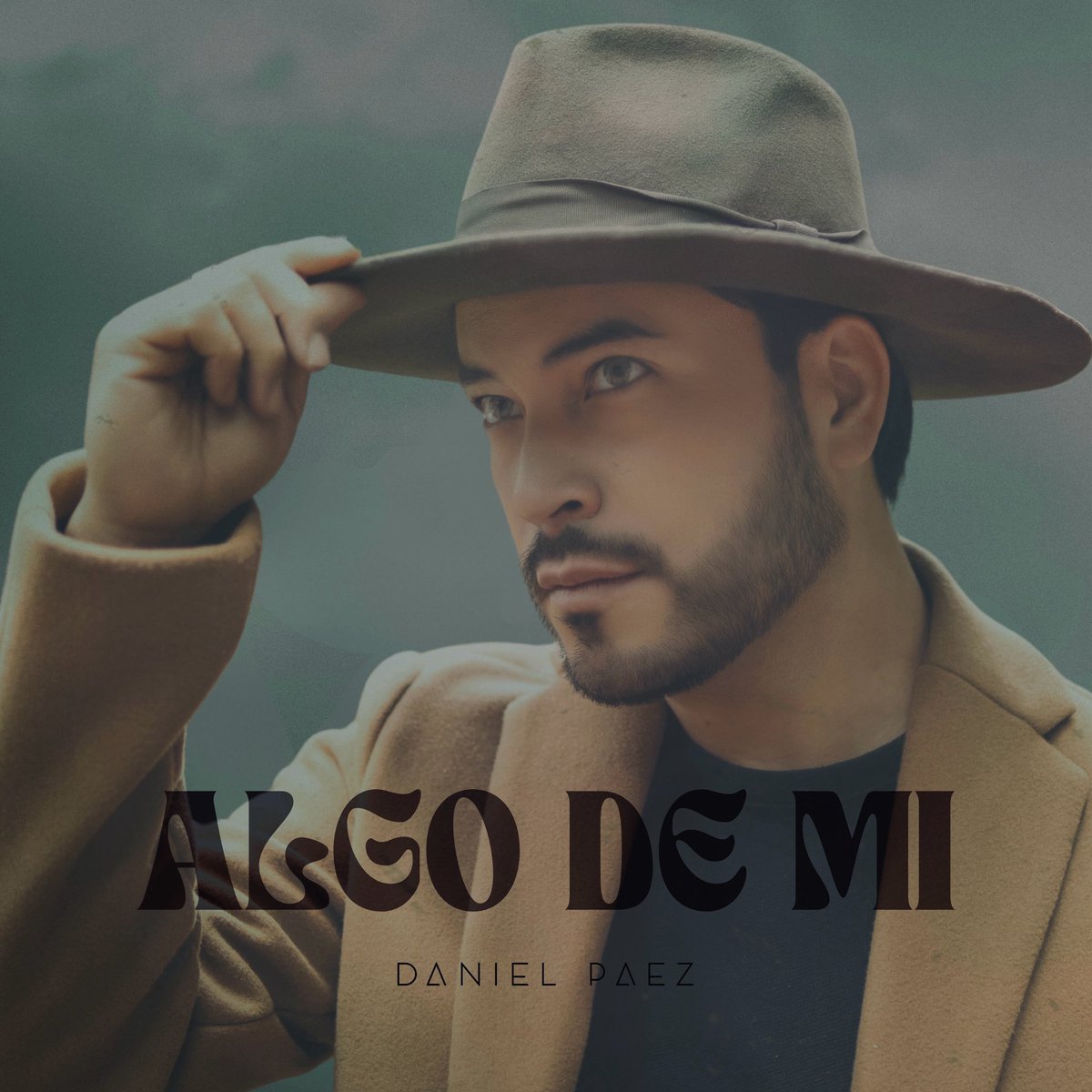 Daniel Paez tweet media