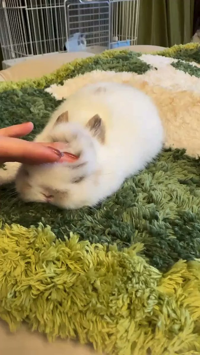 Excited to join the crypto world! Learning everyday with @giverep crypto airdrops. Stay tuned for more updates! #cryptocurrency #blockchain