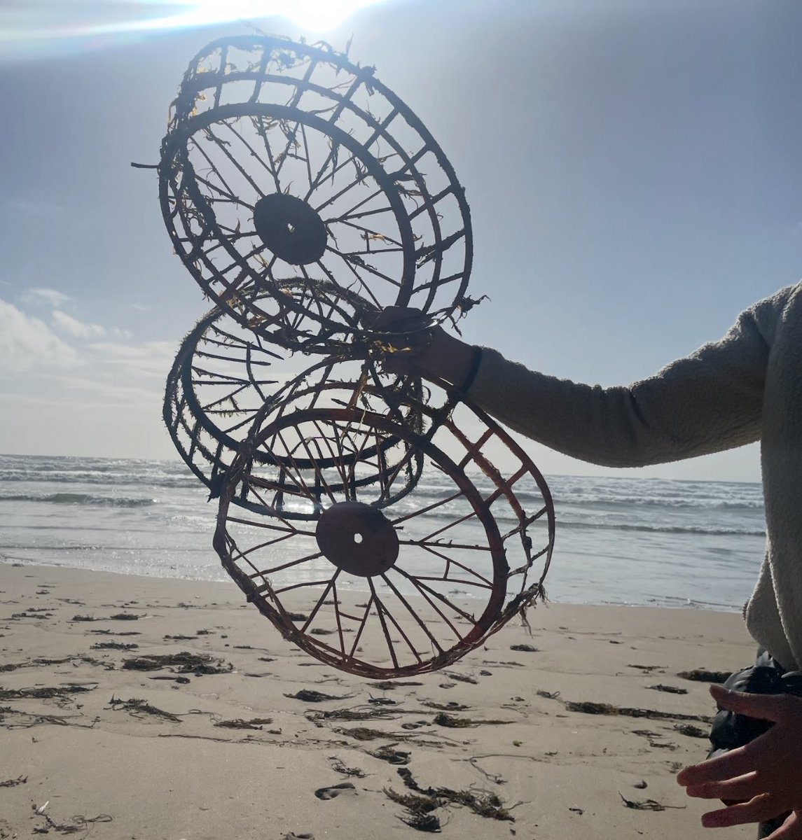 Does anyone recognise these - are they scallop or oyster cultivation baskets? Found something similar online but not an exact match…