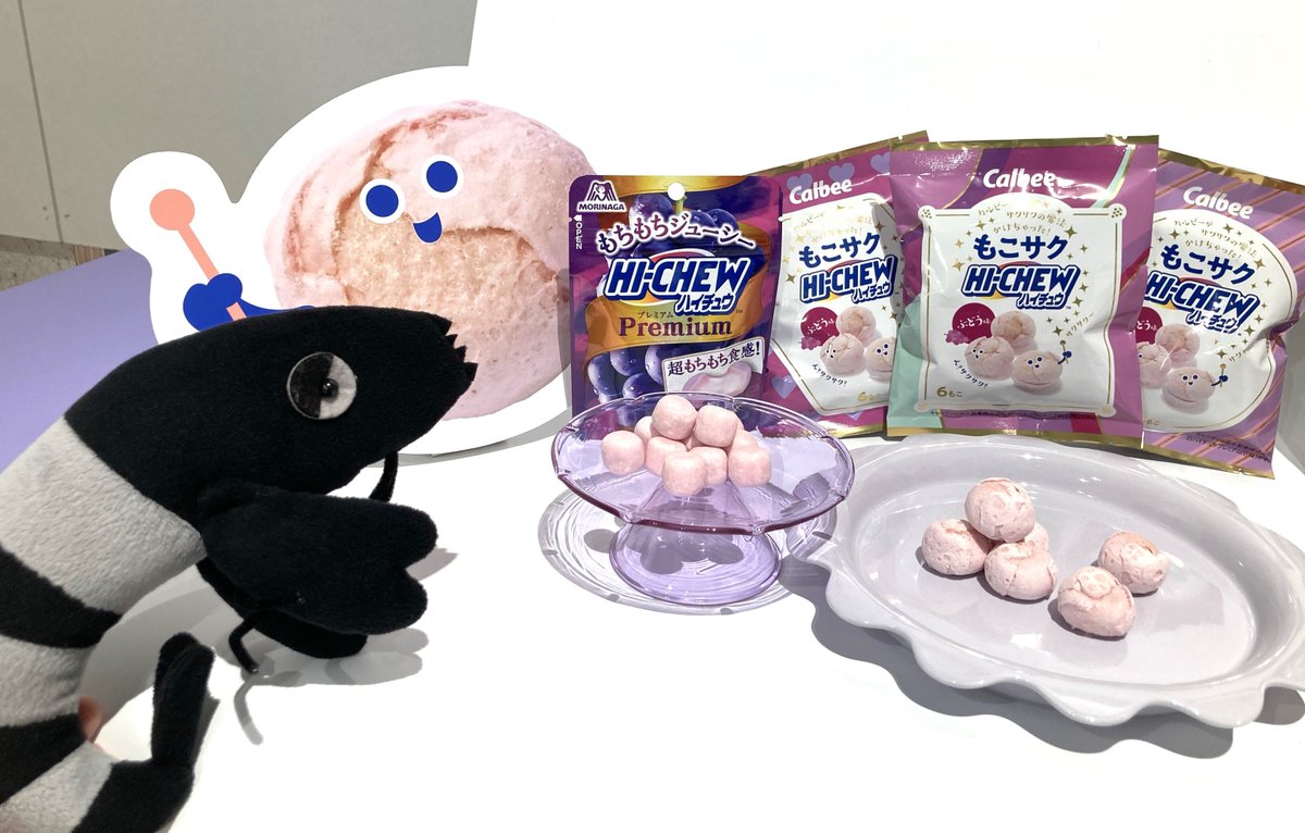 続き→ まず「もこサクハイチュウ(ぶどう味)」 コンセプトは“魔法に
