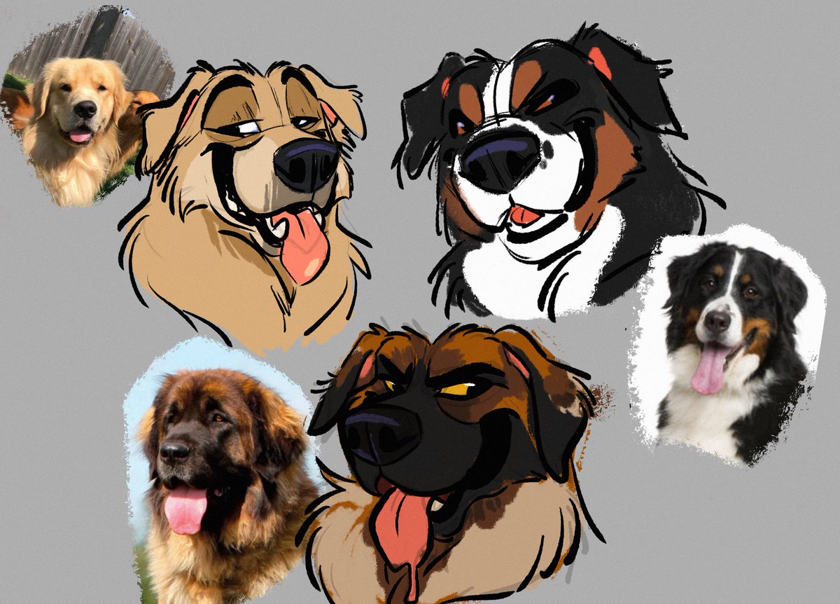 🌈✨TOUGHFLUFF✨🌈 tweet media