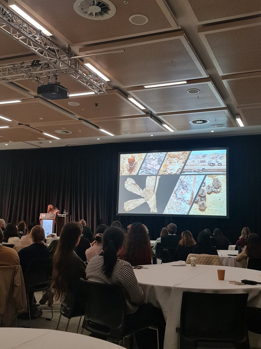 Plant Pathogens (APPS) tweet media