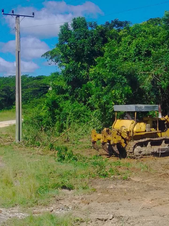 #Cuba #LatirAvileño #UNETambien en la UEB Ciro Redondo se acometió el buldoceo de la franja de servidumbre de las líneas eléctricas como parte del Ejercicio Meteoro 2025
