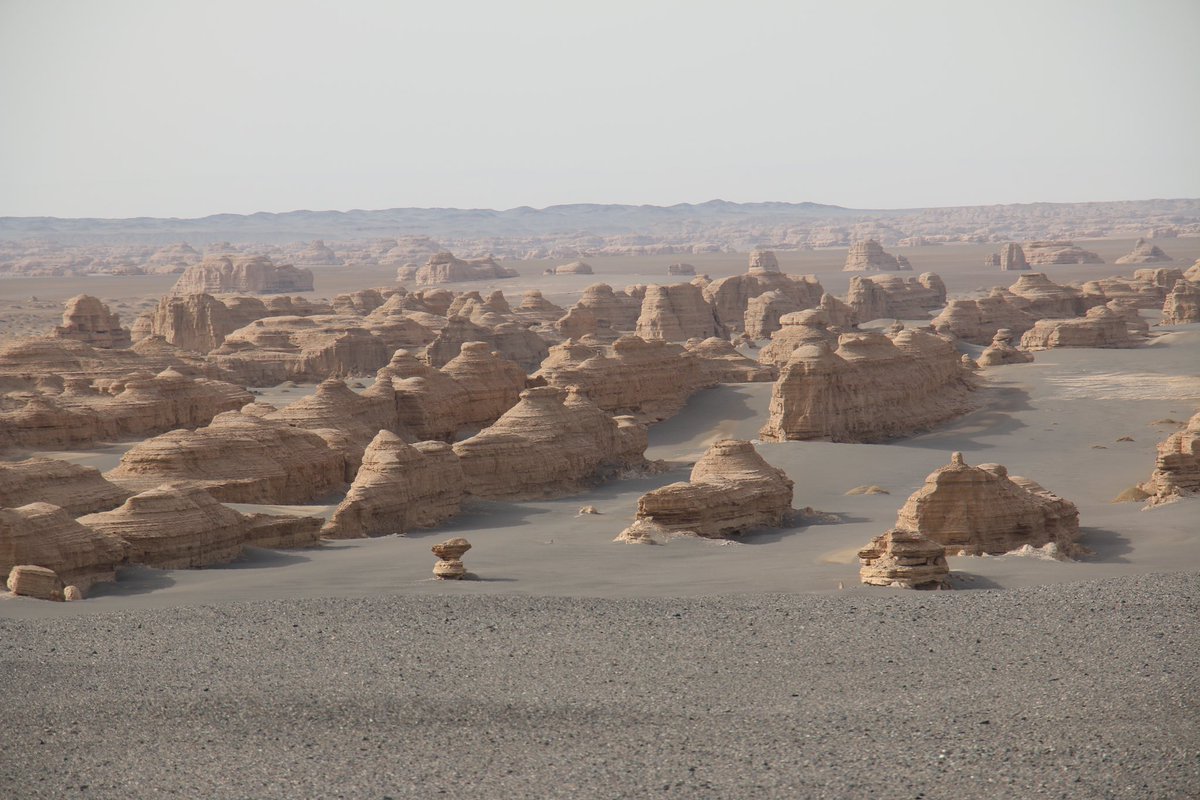 HiDunhuang's tweet photo. A wonder sculpted by wind and time—stone fortresses rising from the desert.🏜️
#Dunhuang #Yardang #SilkRoad https://t.co/x0Ar1eUZlm
