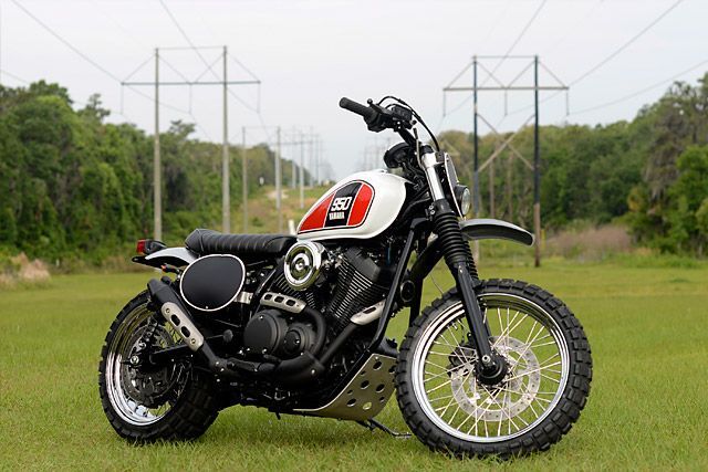 KANSAS BORN (@cat1pro) on Twitter photo 