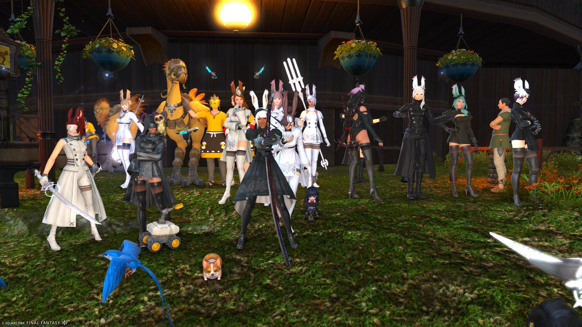 CWLSコノハナ公式撮影会(その１)
Titan開催だったので、地元のサブLarkで参加しました！
めっちゃ楽しくて2時間があっという間でした❣
#コノハナウサコヒメ #ff14 #ffxiv #ヴィエラ