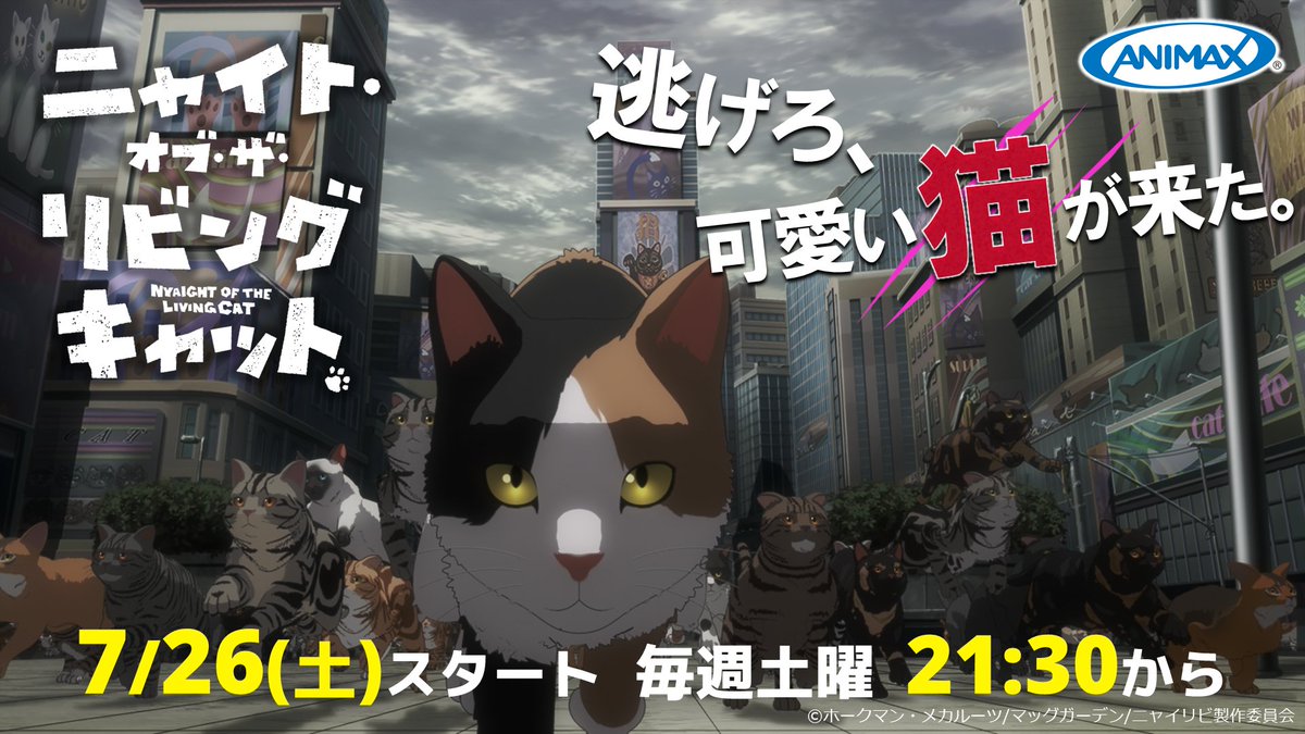 ANIMAX_Japan's tweet image. /
いよいよ明日放送スタート!!
\
人類は猫だらけの世界を生き抜くことができるのか。
🐈ニャイト・オブ・ザ・リビングキャット
📅7/26(土)スタート
毎週土曜 21:30~22:00
animax.co.jp/programs/NN100…
#ニャイリビ #アニマックス