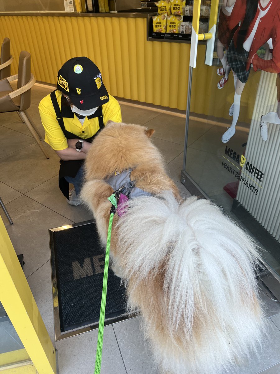 사쟌님 여기 애견동반 카페(아님)인 거 알고 왓서요 들어가개 해조요