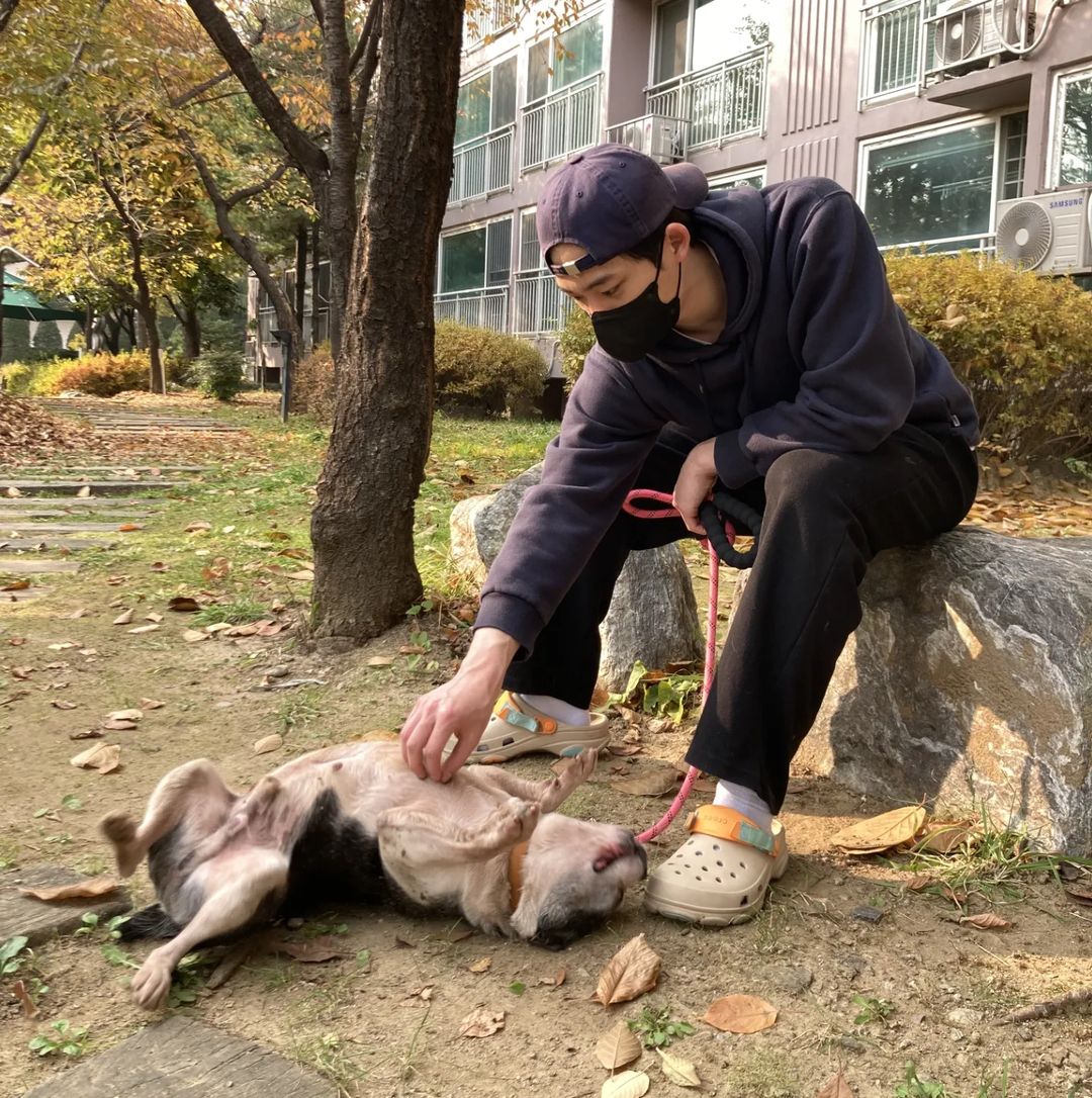 쪼리 tweet media