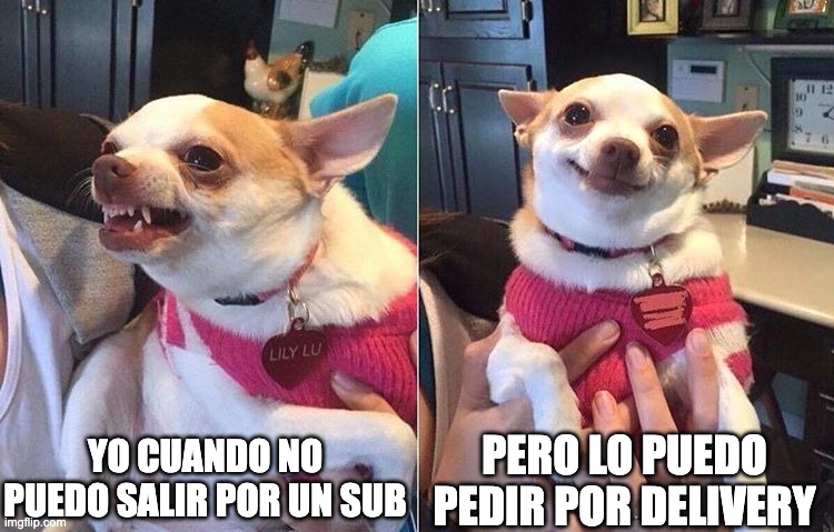subwaymexico's tweet photo. Yo cuando no puedo salir por un Sub:
Modo furia activado
Pero luego recuerdo que puedo pedirlo por delivery:
Paz interior restaurada
Subway® llega a ti
🥖 + 🚴♂️ = Final feliz
#SubwayDelivery #AntojoResuelto #NoSalgoPeroComo https://t.co/rlIzaeJ3yl