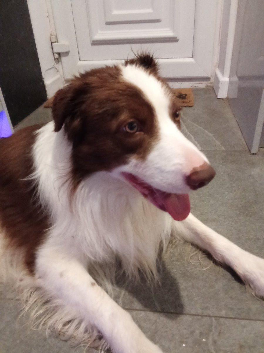 RainHopp tweet media