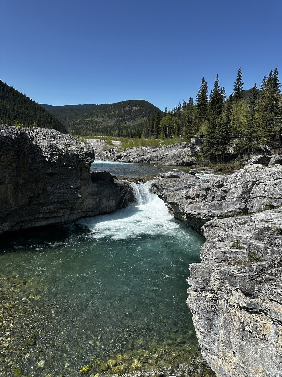 Tesla Owners Club of Alberta 🚗⚡🇨🇦 tweet media