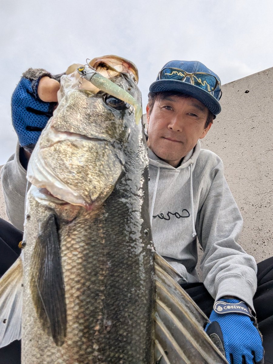 バッシーページ zys-190-img1.jpg