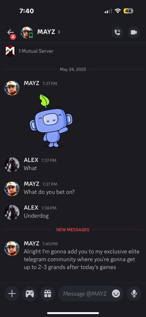 MAYZ tweet media