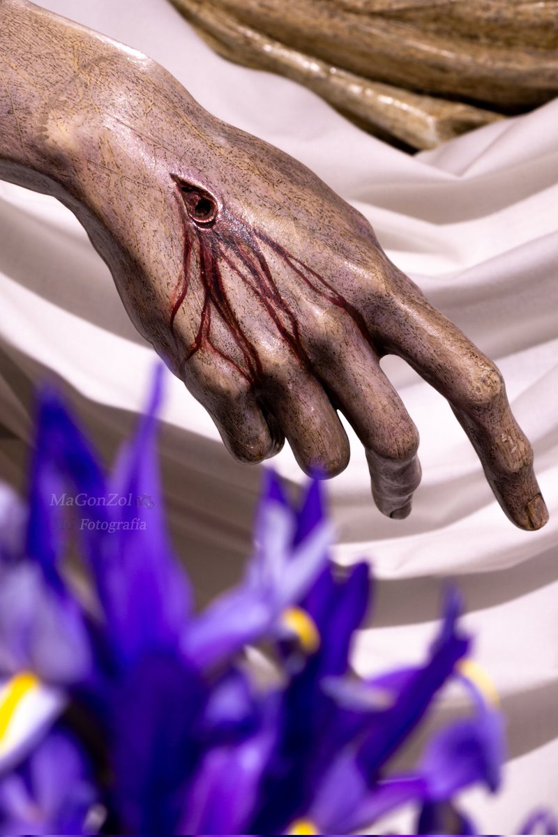 Lunes de Caridad

#magonzol #CristodelaCaridad #CaridadSantaMarta #HdaddeSantaMarta #HermandaddeSantaMarta #OrtegaBru #LunesSantoSevilla #TDSCofrade