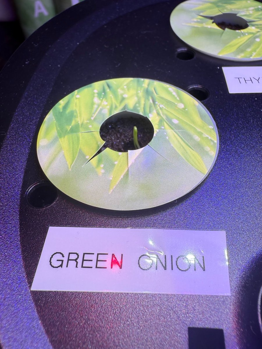 SodaKite tweet media