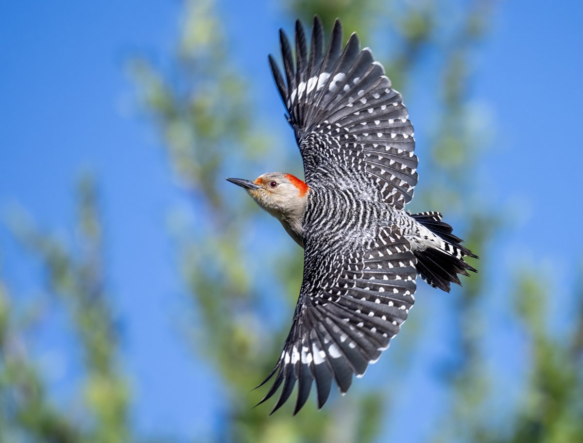 Jocelyn Anderson Photography tweet media